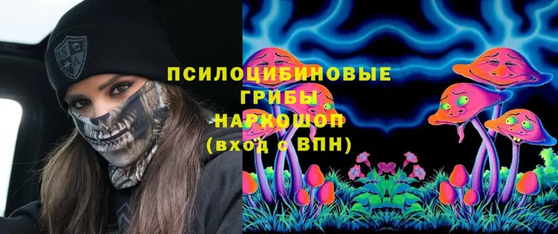 Галлюциногенные грибы Cubensis  сколько стоит  Тетюши 